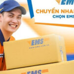 EMS Vietnam Post Tracking