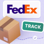 Fedex Cargo Tracking