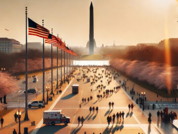 Top 10 Places to Visit in Washington D.C.